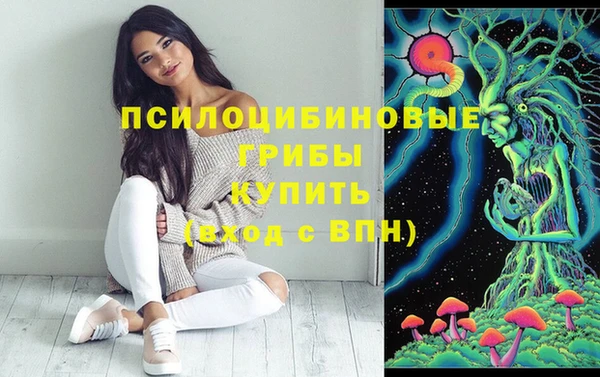 амф Абдулино