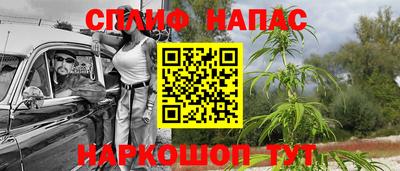 гидра Абинск